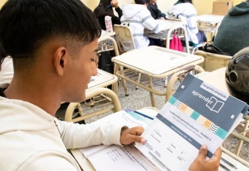 Educacin: bajos niveles de desempeo en reas clave